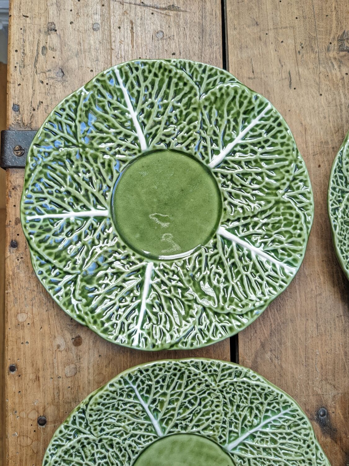 6 cabbage plates