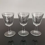 Verres apéritifs, digestifs tulipe gravé anciens