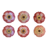 Service of 6 plates of barbotine with wild rose flowers Delphine Massier Vallauris