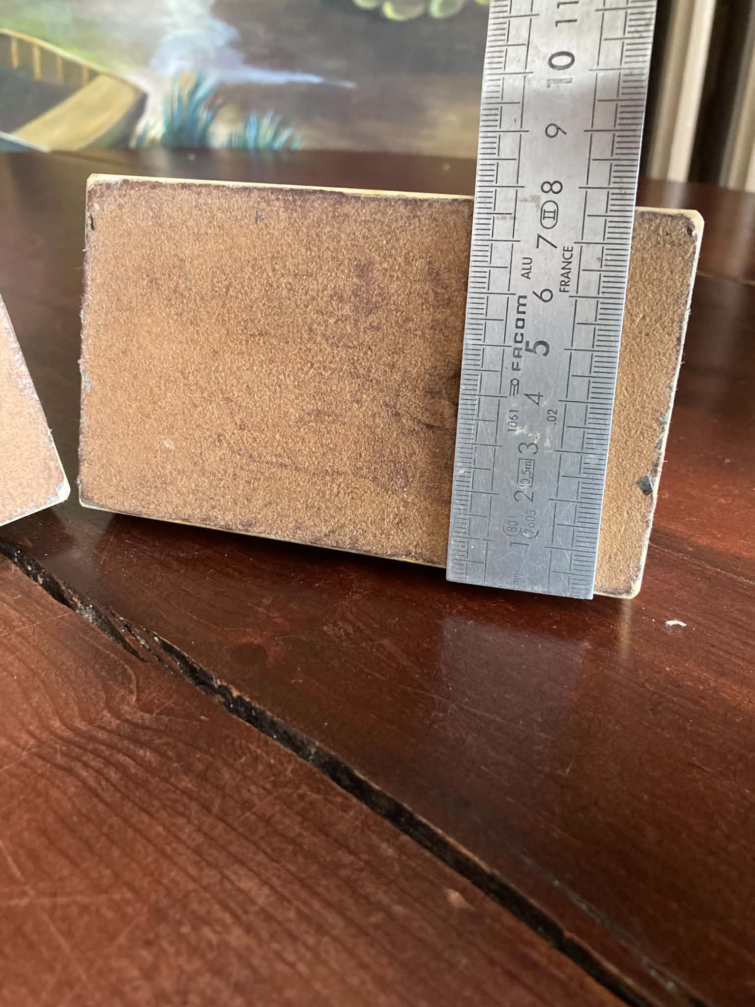 Squirrel bookends