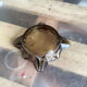 Empty ashtray vintage smoked glass pocket