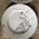 Lot de 17 assiettes Ernie et Fils en porcelaine médaille d’argent exposition universelle 1878