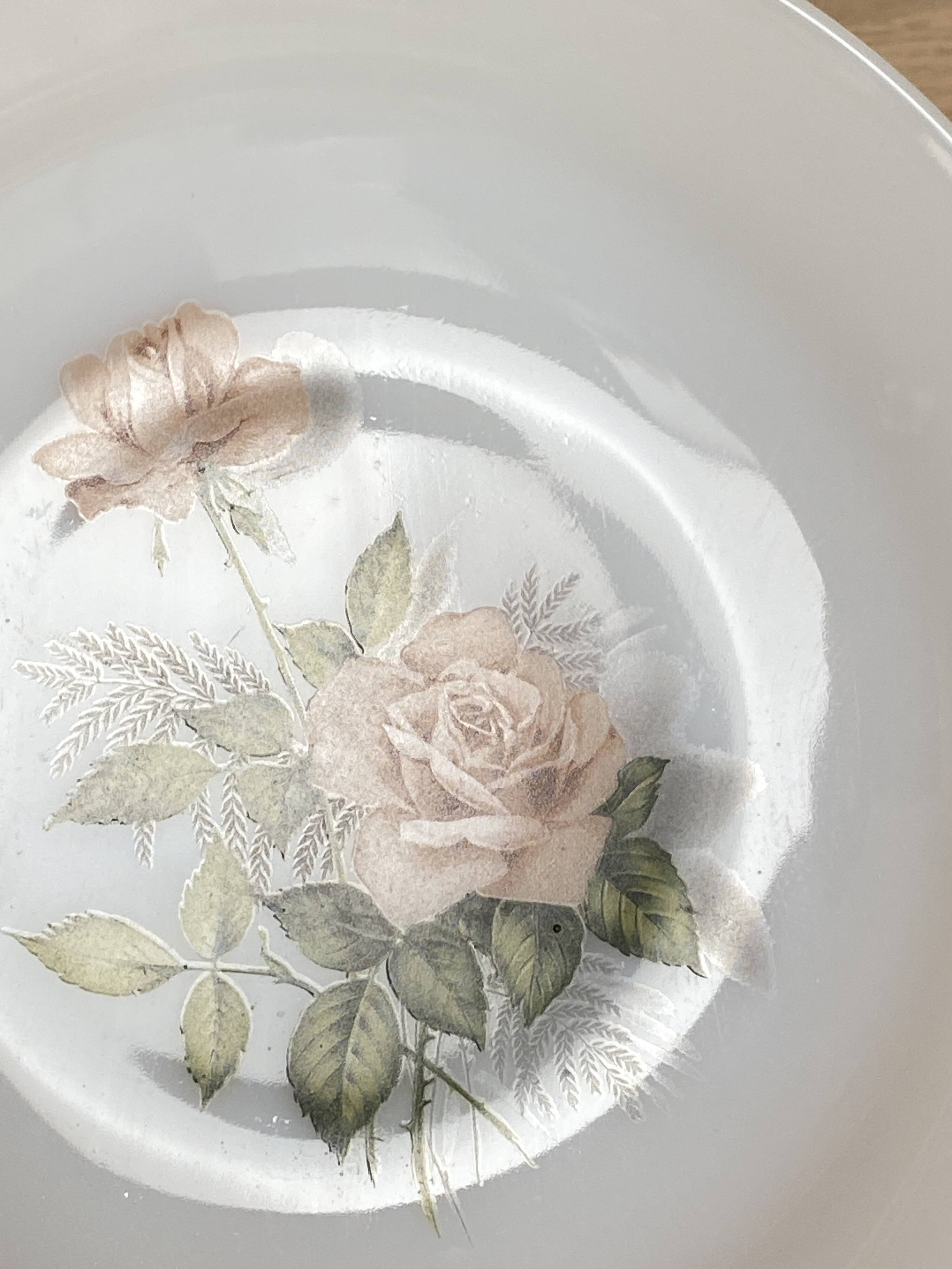 Set de 6 assiettes creuses Arcopal Rose de France
