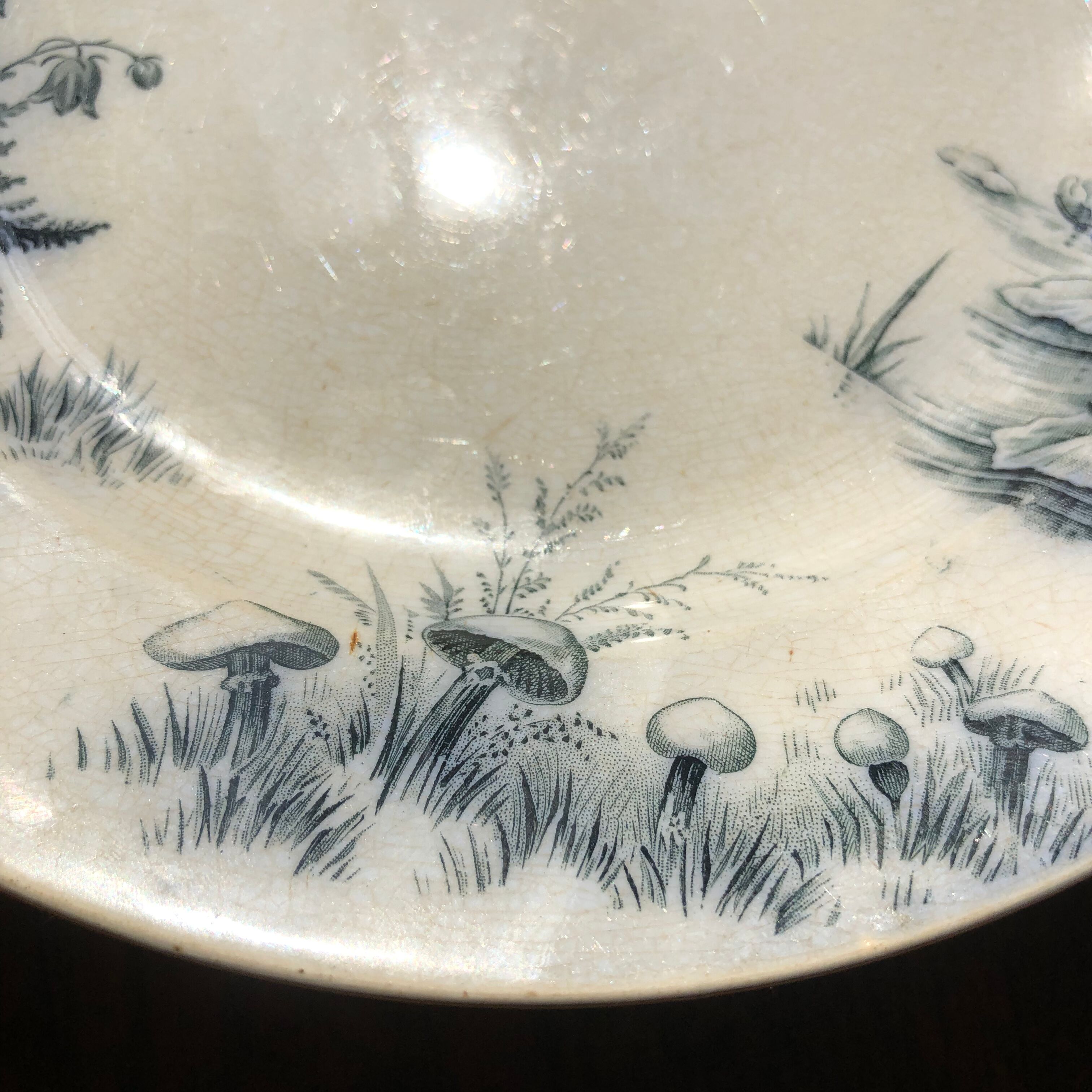 Plate Villeroy and Boch model Alaska