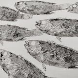 Original print of a school of fish