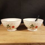 2 Digoin Sarreguemines bowls