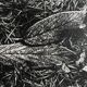 Rosine nusimovici, frost, 1980. black and white silver print signed on the back