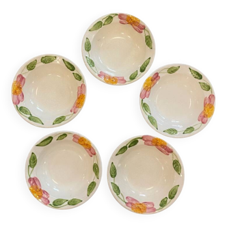 Set of 5 bowls