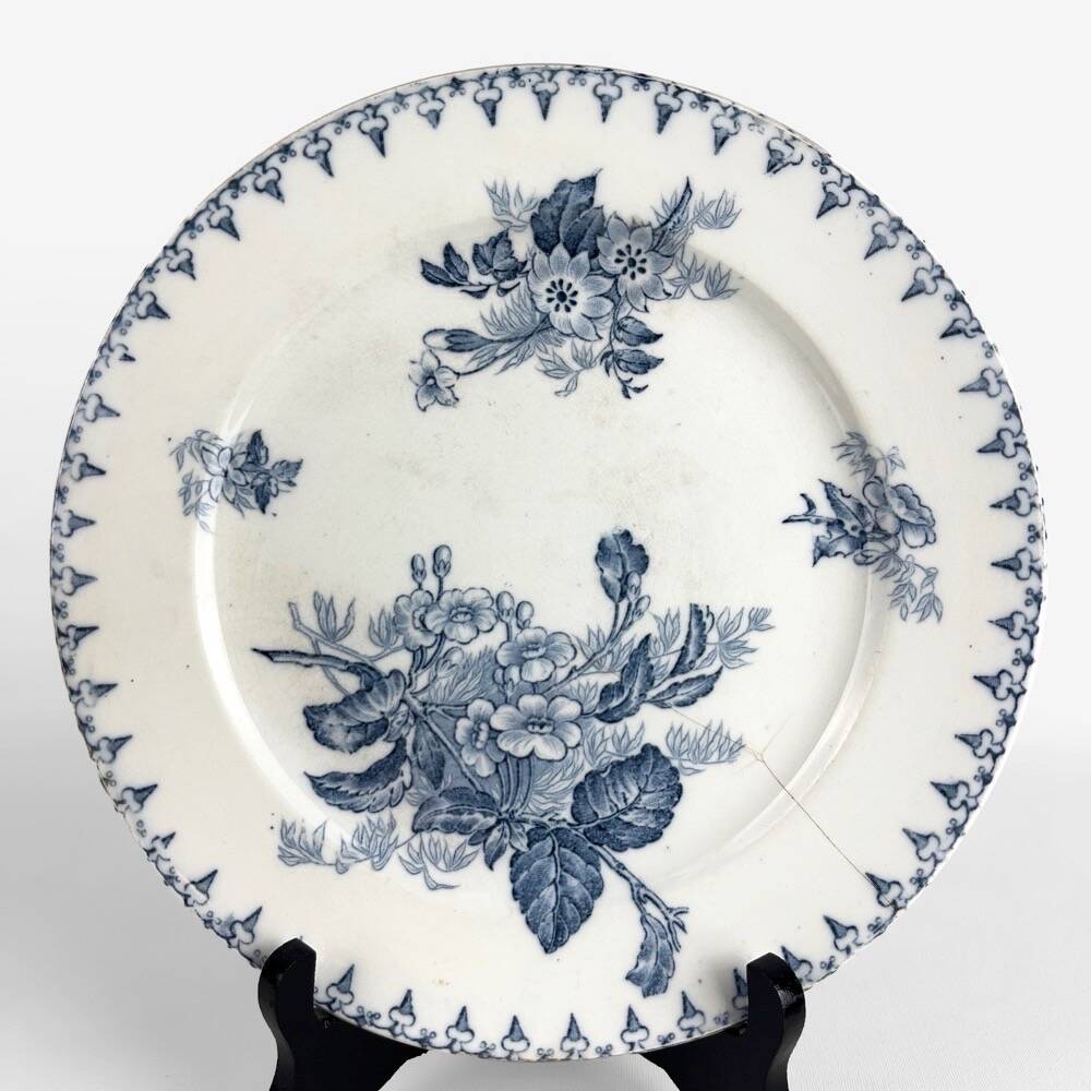 5 mismatched plates Terre de fer 1900