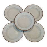 Lot de 5 assiettes vintage en céramique mouchetée –