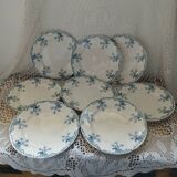 Longwy iron earth dinnerware set