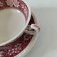 Villeroy and Boch Rusticana two-handled cup and saucer
