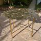 Carved brass coffee table with ginkgo decor