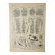 Old engraving 1922, Beans, varieties, soup, vegetables, farm • Lithograph, original illustration