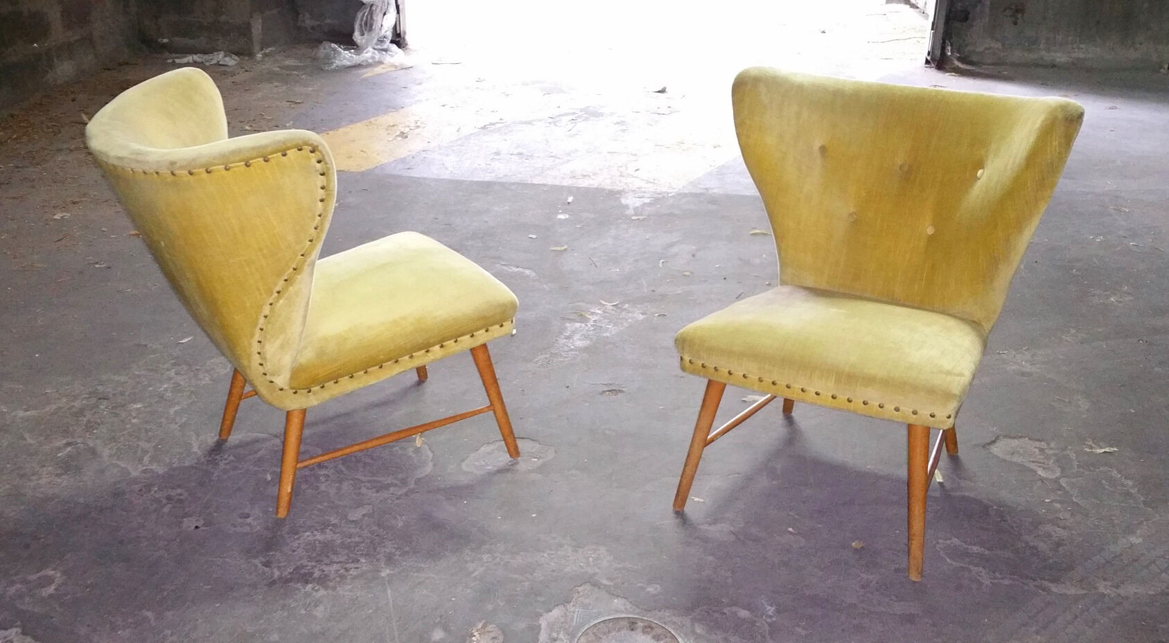 Yellow green trio of drivers at Danish flesh wing ears Elias Svedberg years 50/60