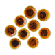 9 small plates sunflower oil lesieur Duralex