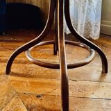 Parrot coat rack