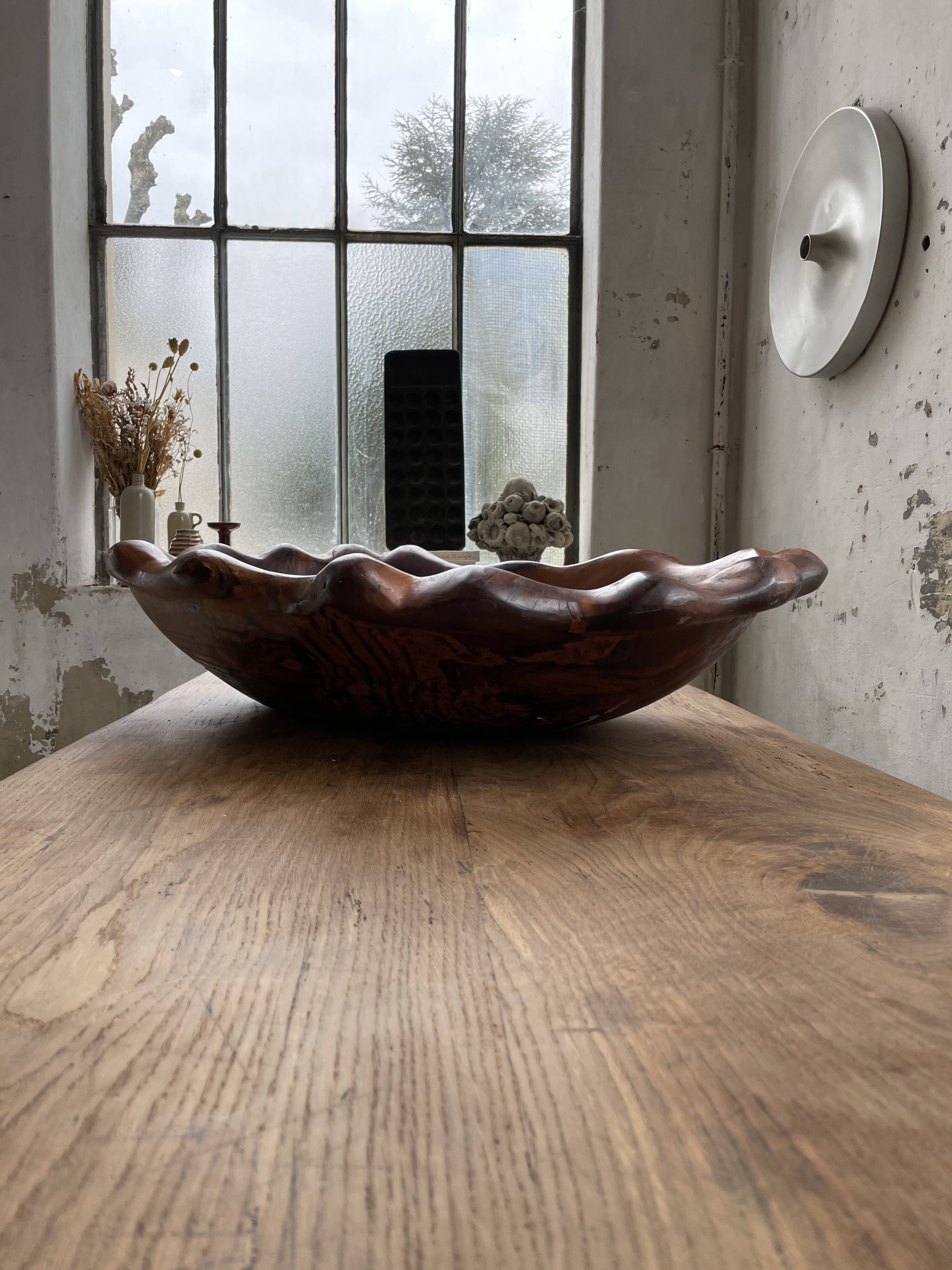 XL thuja root wooden dish