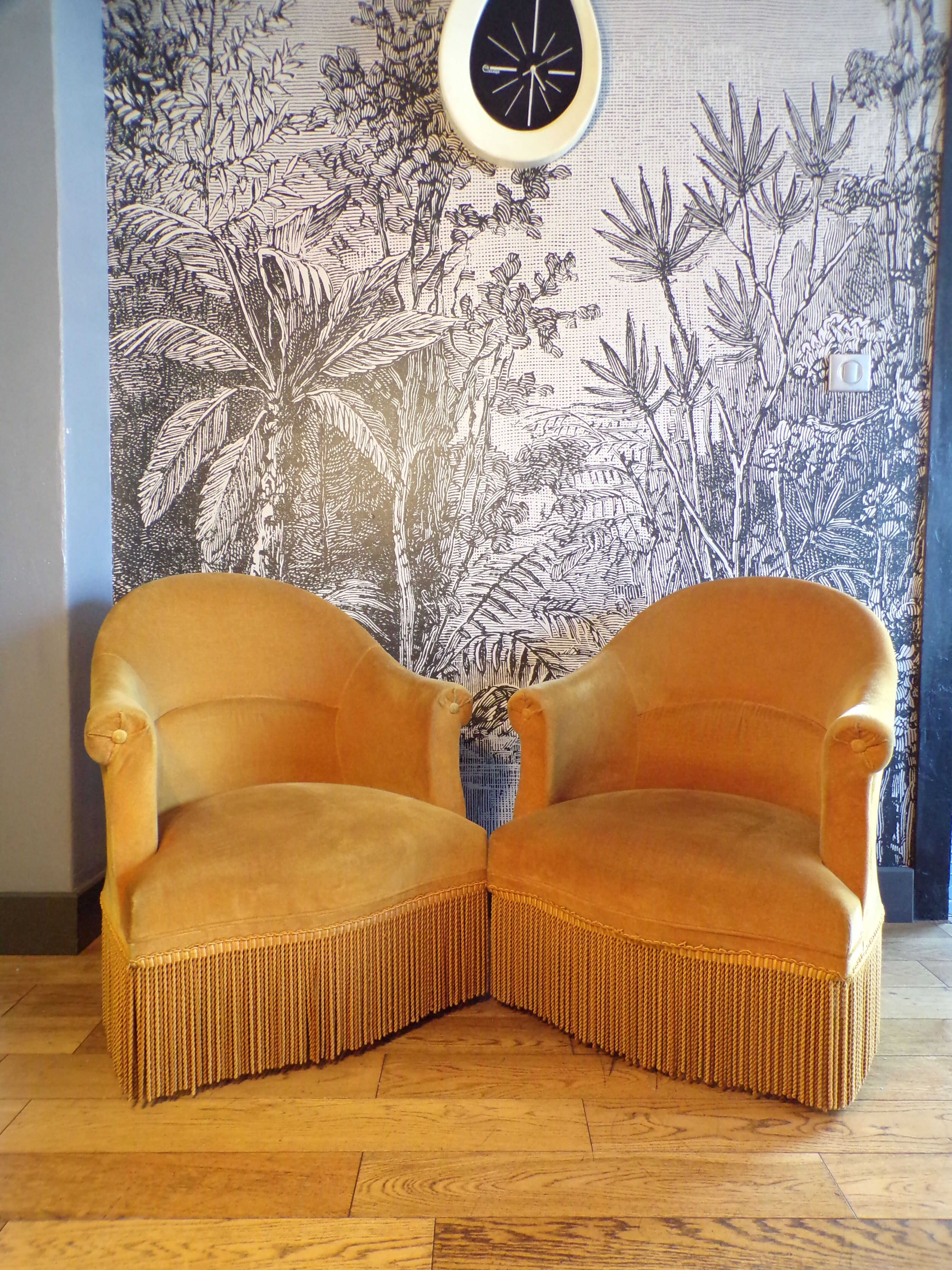 Pair of mustard velvet toad armchairs
