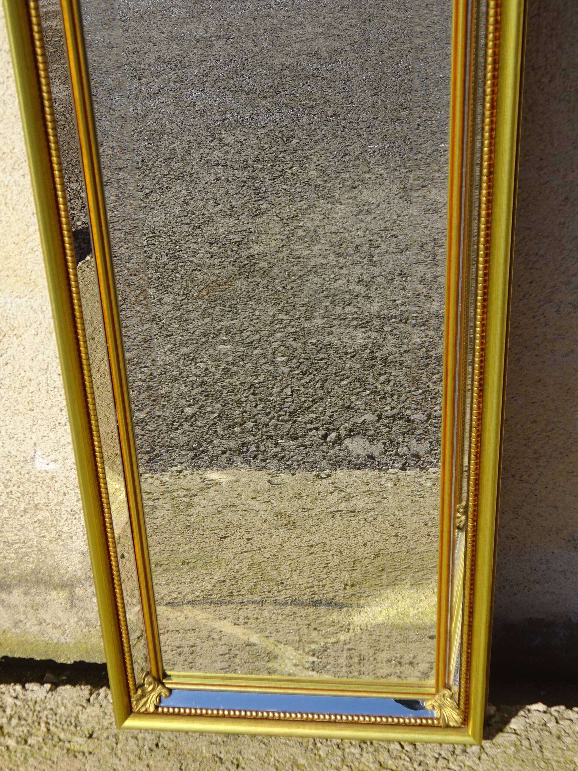 Miroir à parecloses, fleurs de lys, 99cmx30cm