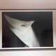 Michiel Ibelings " Monique " photograph