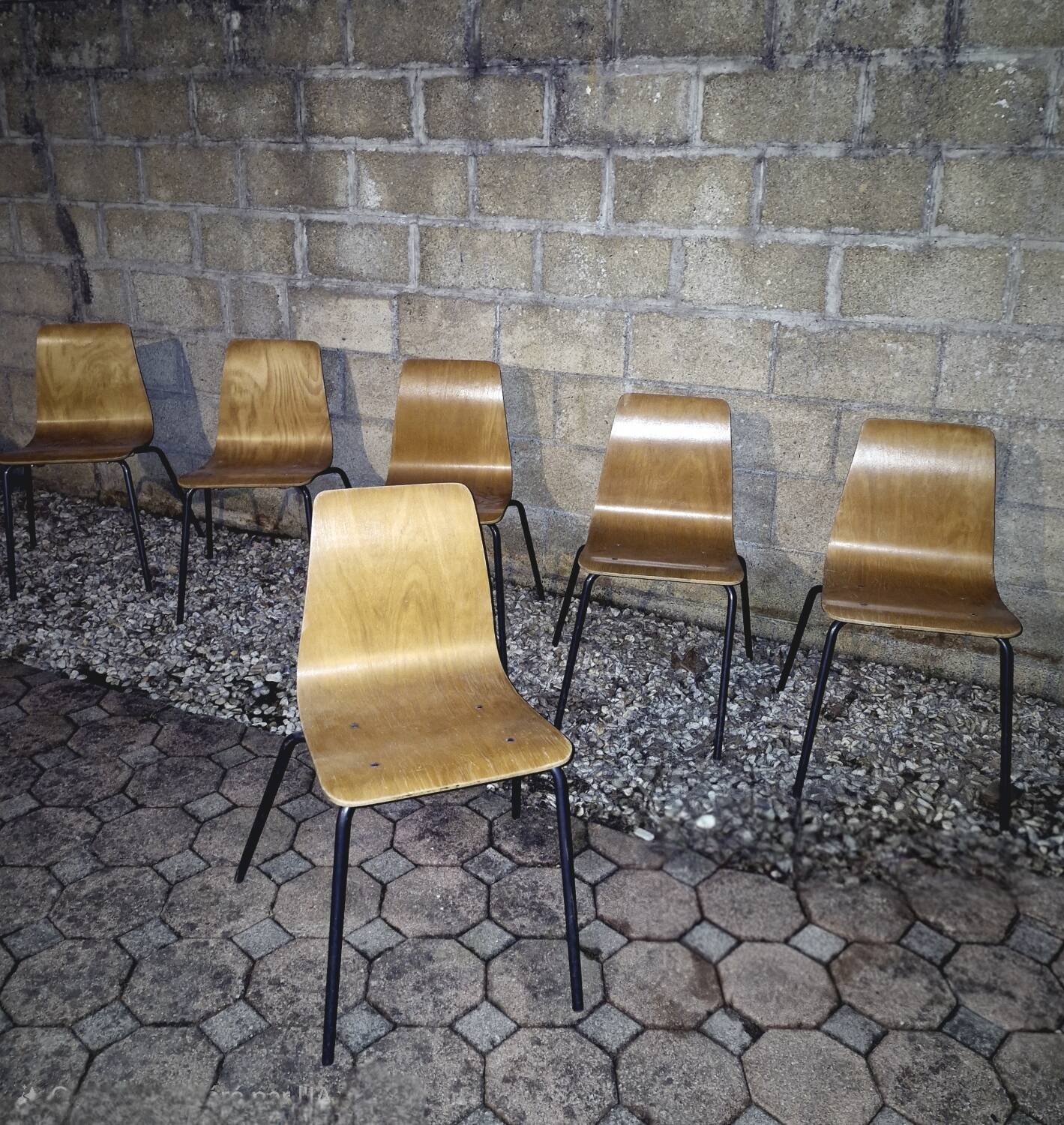 Suite de 6 Chaises Pierre Guariche modèle Papyrus Édition Steiner 1950