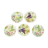Suite of 5 fruit plates in Earthenware of Saint-Clément