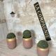 Planters, foundry crucibles