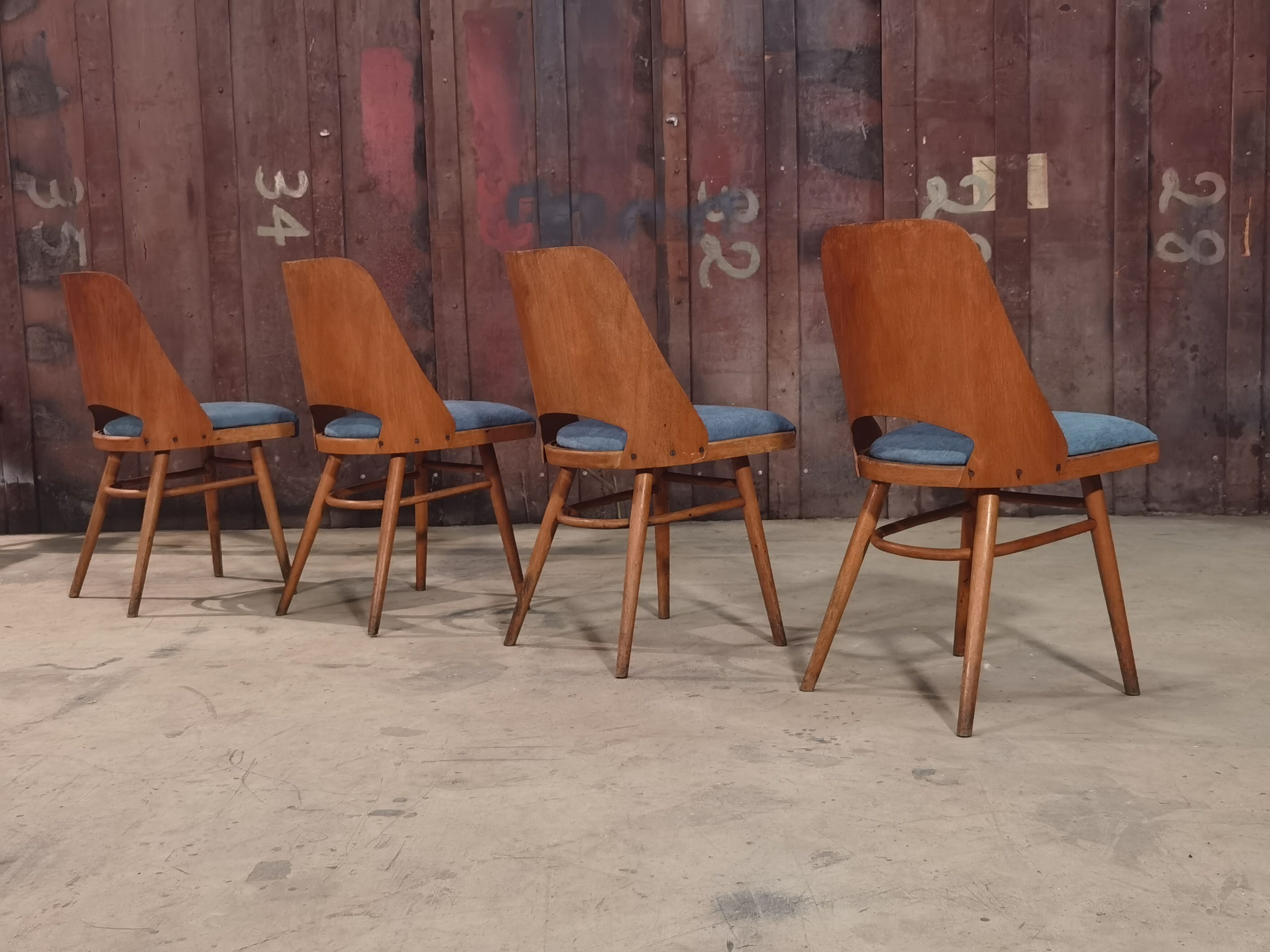 Suite of 4 chairs 515 Oswald Haerdtl's  for Thonet