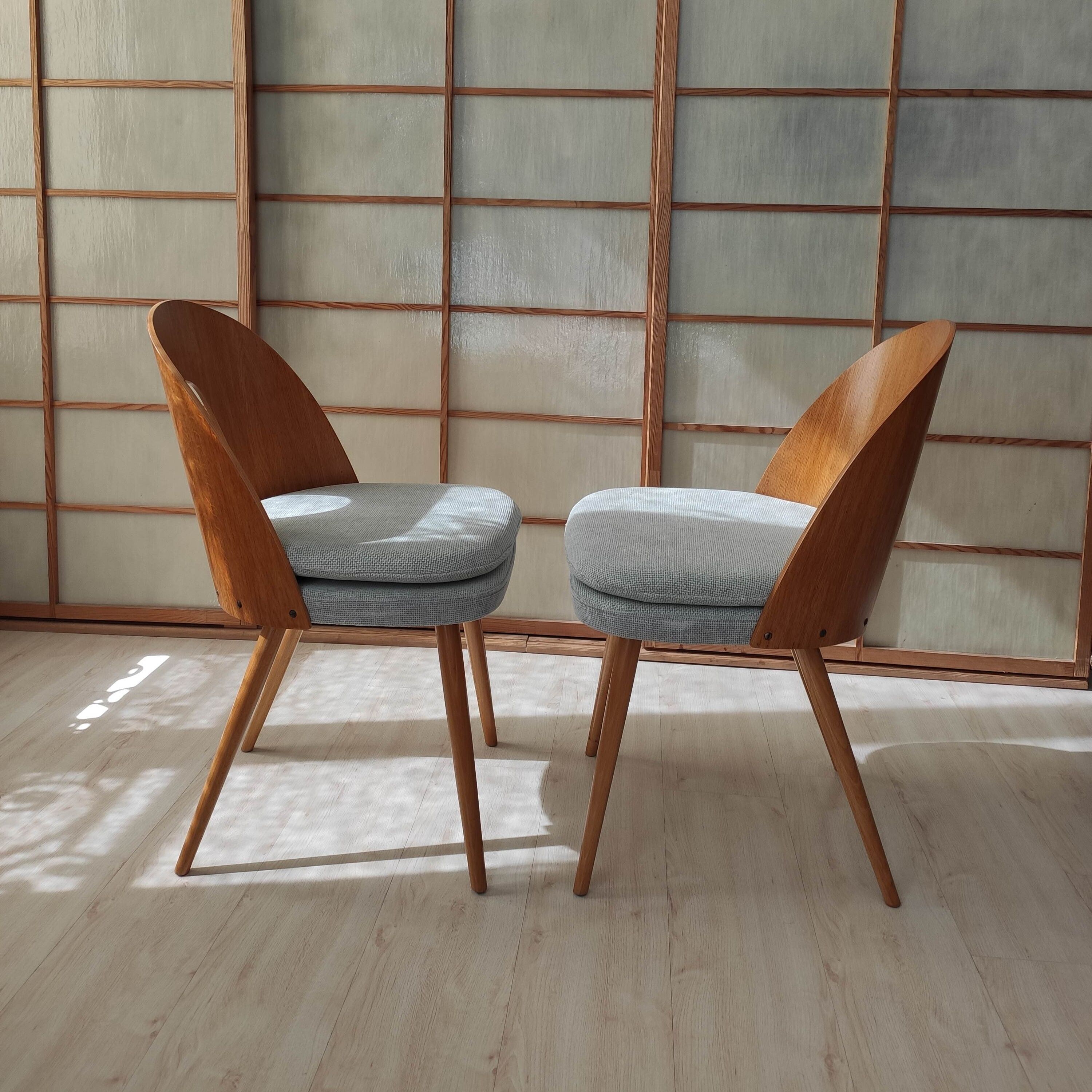 Series of 2 chairs Antonin Suman 60s
