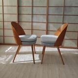 Series of 2 chairs Antonin Suman 60s