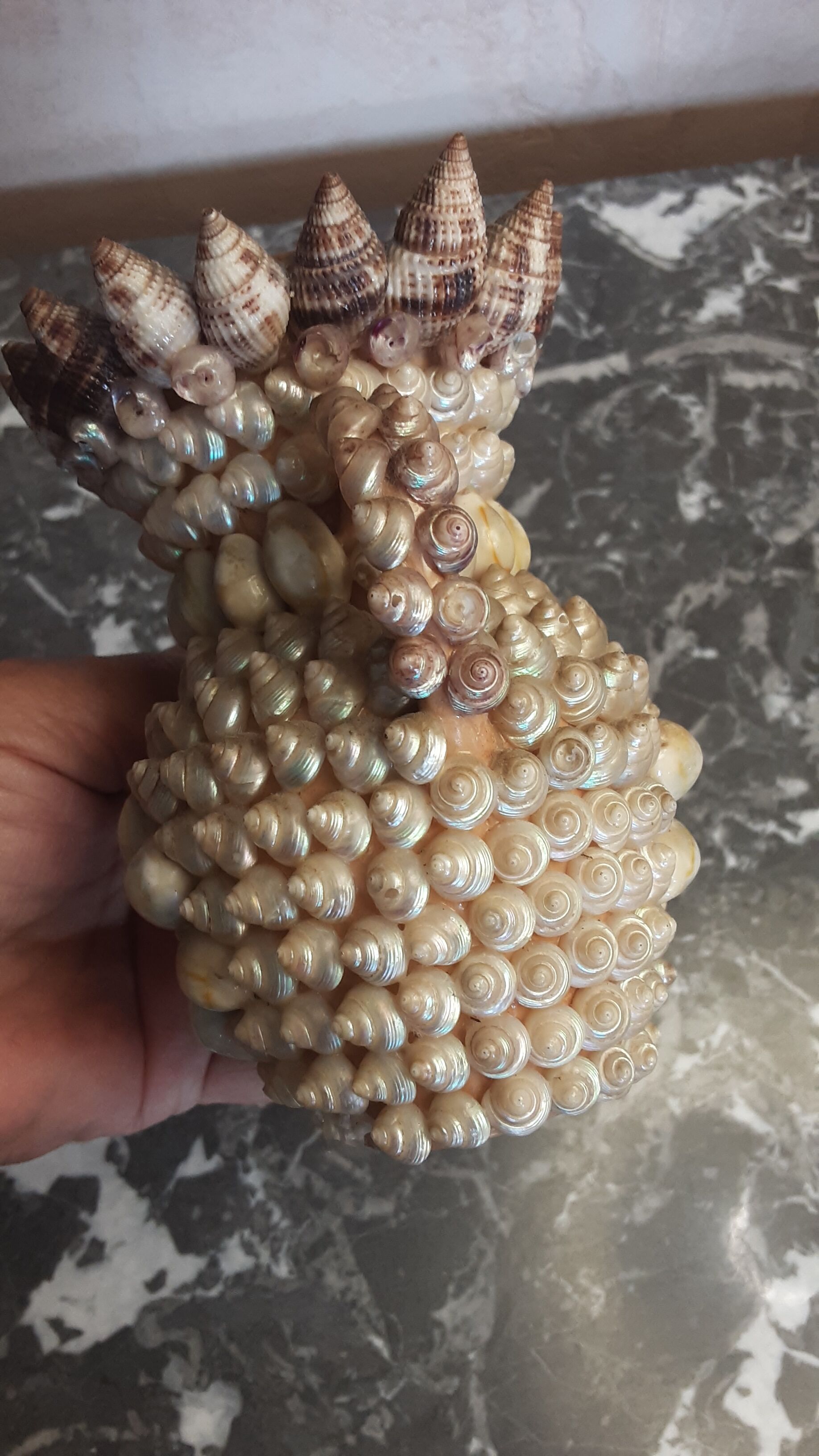 Vase terracotta shells - year 70