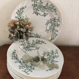 Set 7 flat plates and assorted flat faincerie Fénal Fréres "Capri" pexonne