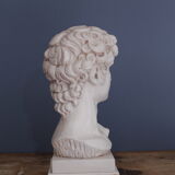 David Plaster Bust