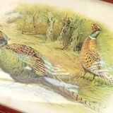 Painting pheasants