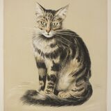 Basile Titoff - Large Signed Lithograph - Elf Cat