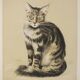 Basile Titoff - Large Signed Lithograph - Elf Cat