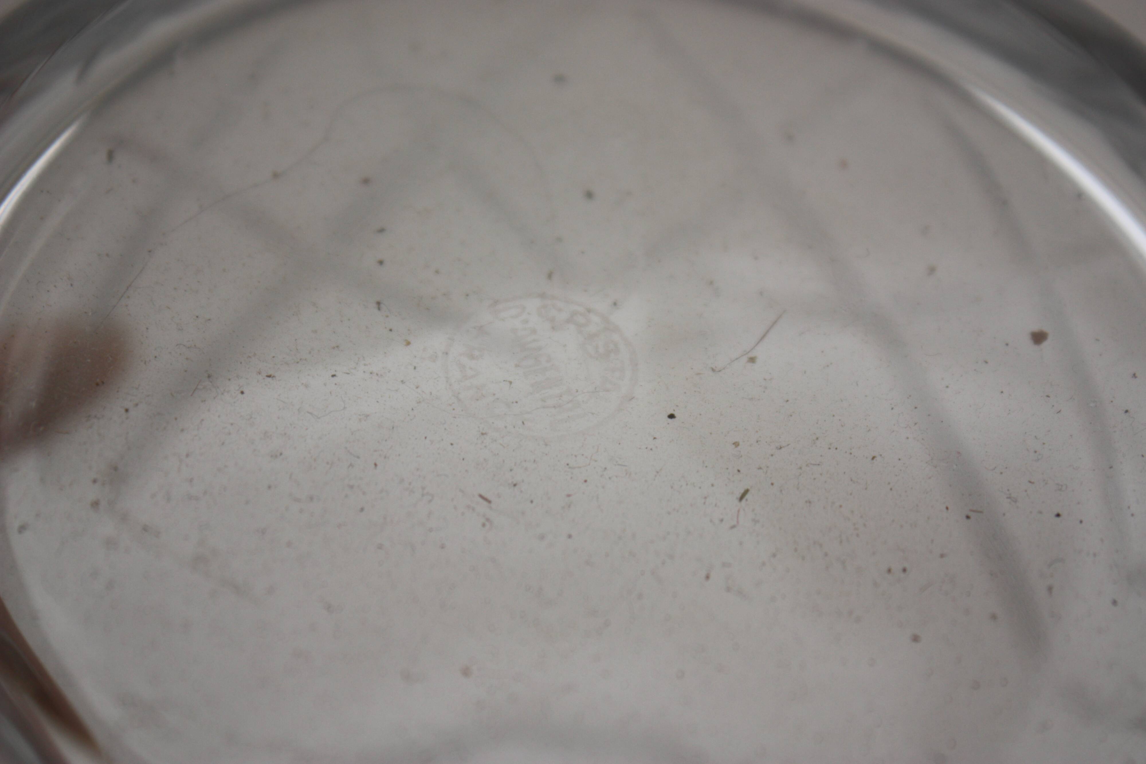 Argental crystal water pitcher or jug