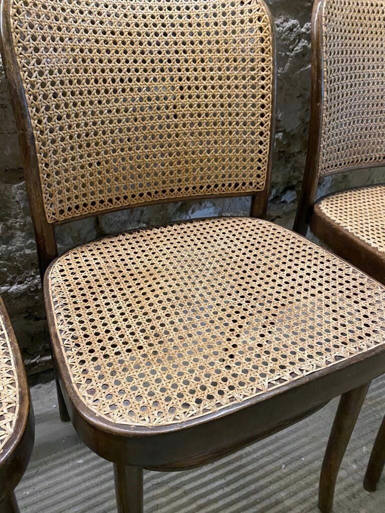 Suite de 6 chaises par Josef Hoffmann pour Thonet années 60
