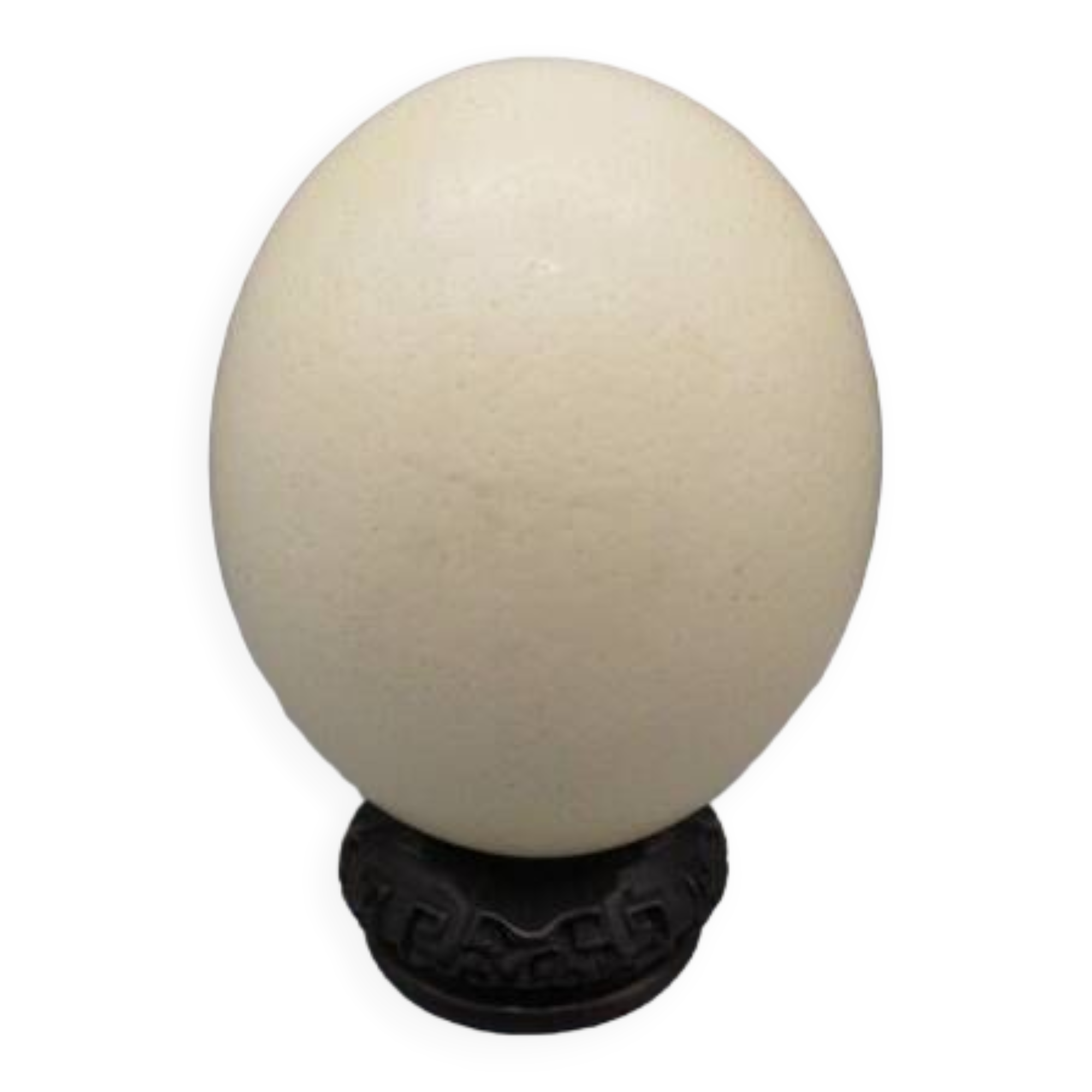 Œuf d'autruche sur socle