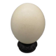 Œuf d'autruche sur socle