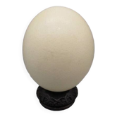 Ostrich egg on pedestal