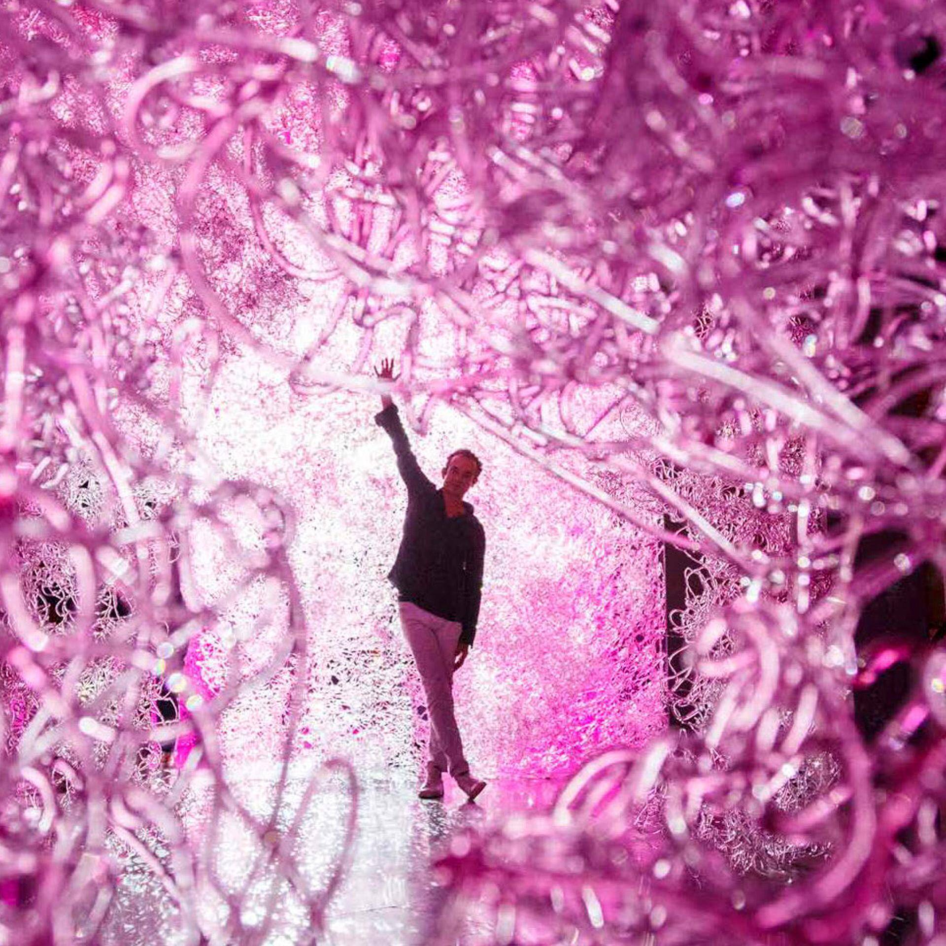 Pink Resin Chandelier Mod Supernova by Jacopo Foggini