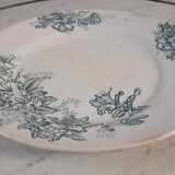 Flat iron earth earthenware of Givors late nineteenth century