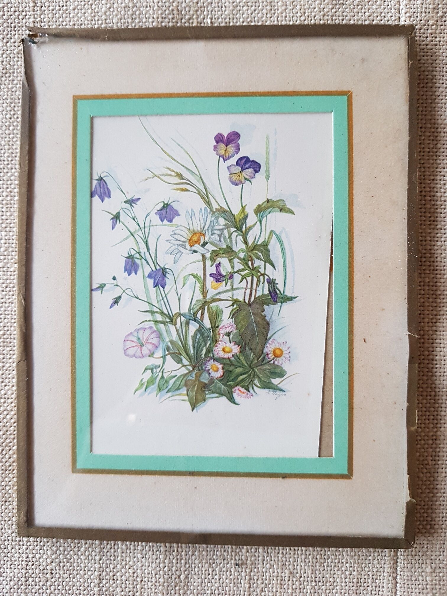 Pair of frames botanical board