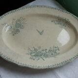 Dish