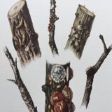 Antique illustration "insects", Vintage print, Cochineal, 1960s