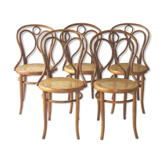 Lot of 5 chairs curved wood bistro Fischel ca 1900