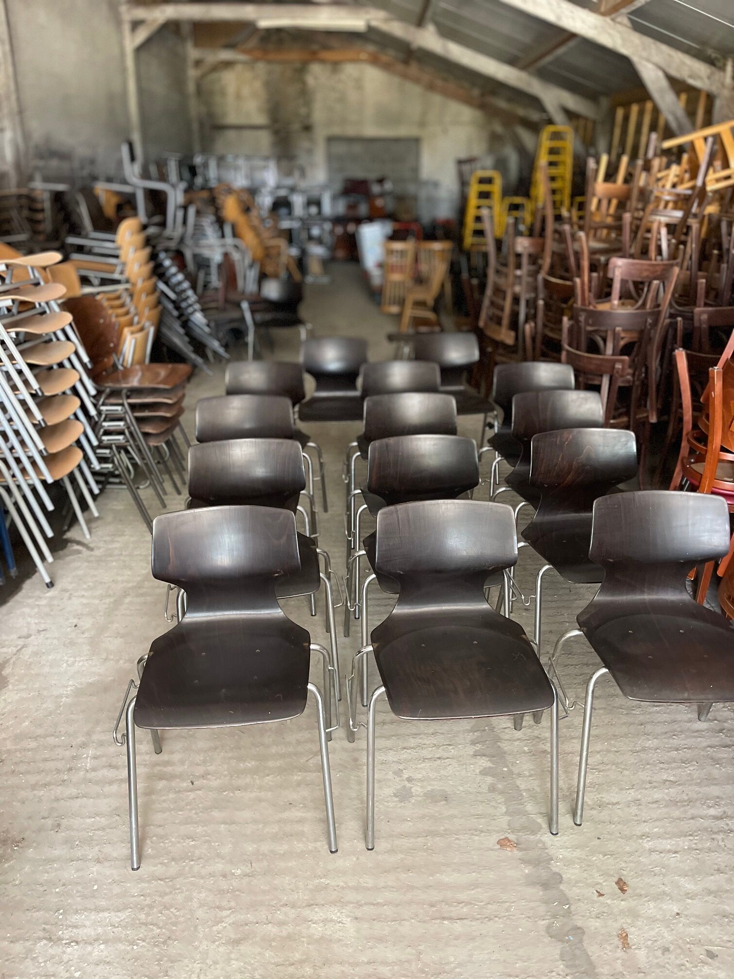 Set of 14 ebony Flötotto chairs
