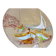 Mabyjo's Musarra Vallauris, decorative glazed ceramic dish, 1960s